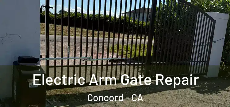 Electric Arm Gate Repair Concord - CA