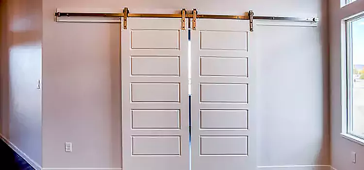 Glass Barn Door with Installation Hardware Kit Concord