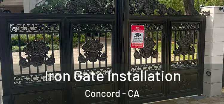  Iron Gate Installation Concord - CA