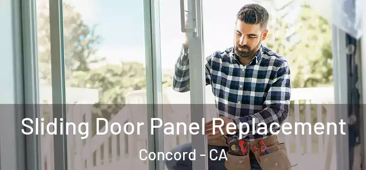  Sliding Door Panel Replacement Concord - CA